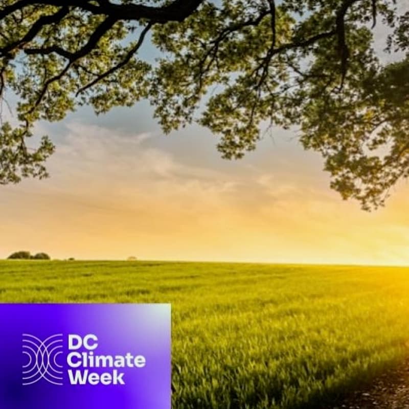 Cover Image for Charting a Path Forward: A Social Hour for Women Working on Climate & Environmental Resilience