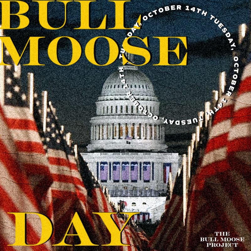 Cover Image for Bull Moose Day
