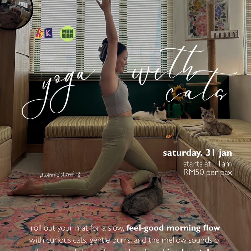 Cover Image for Yoga with Cats