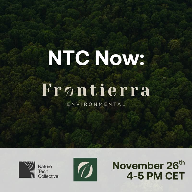 Cover Image for NTC Now – From Satellite Intelligence to Actionable Deforestation Insights for Financial Institutions