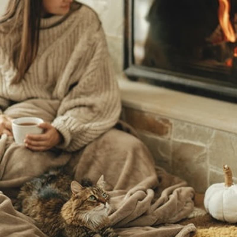 Cover Image for The Unwind: December cozy meetup between changemakers