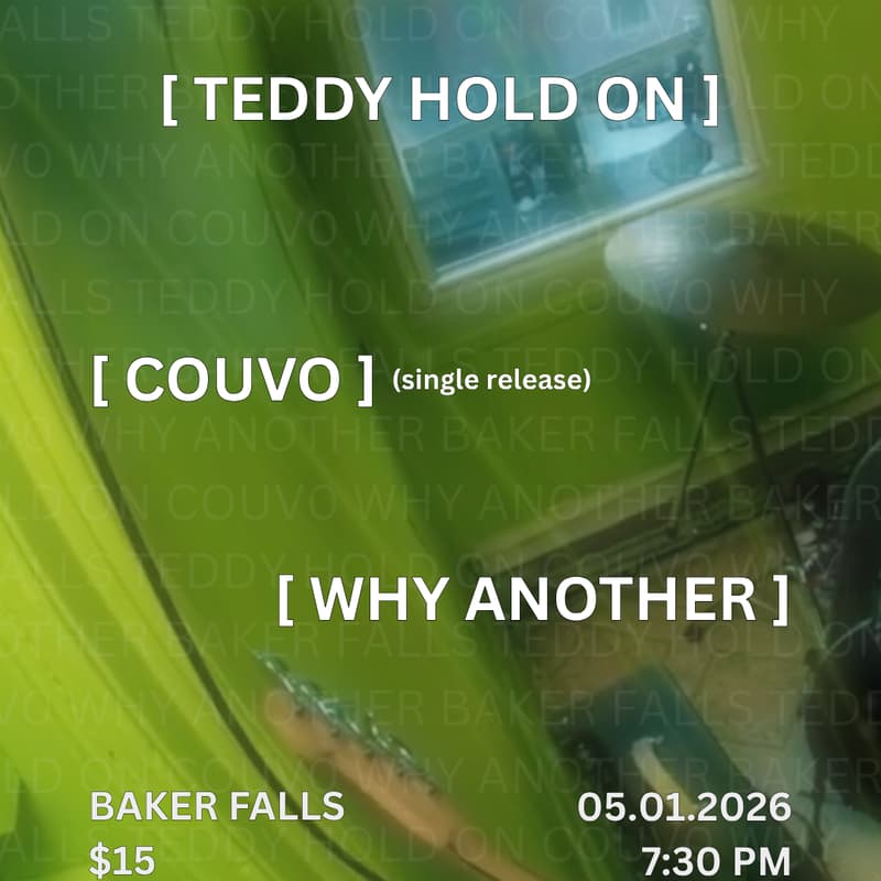 Cover Image for TEDDY HOLD ON / COUVO / WHY ANOTHER