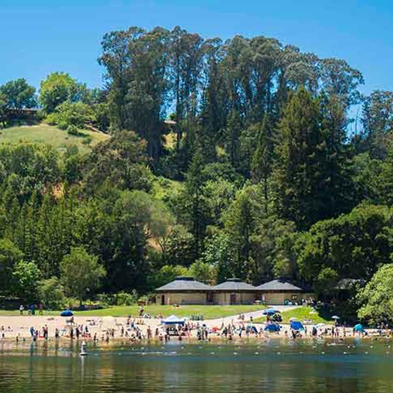 Cover Image for 🌿 Tilden Treasures Day Trip 🚂🌼