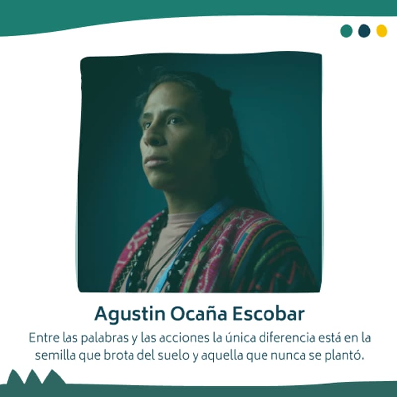 Cover Image for Conversación con Agustín Ocaña Escobar | “El marco Aguacate”