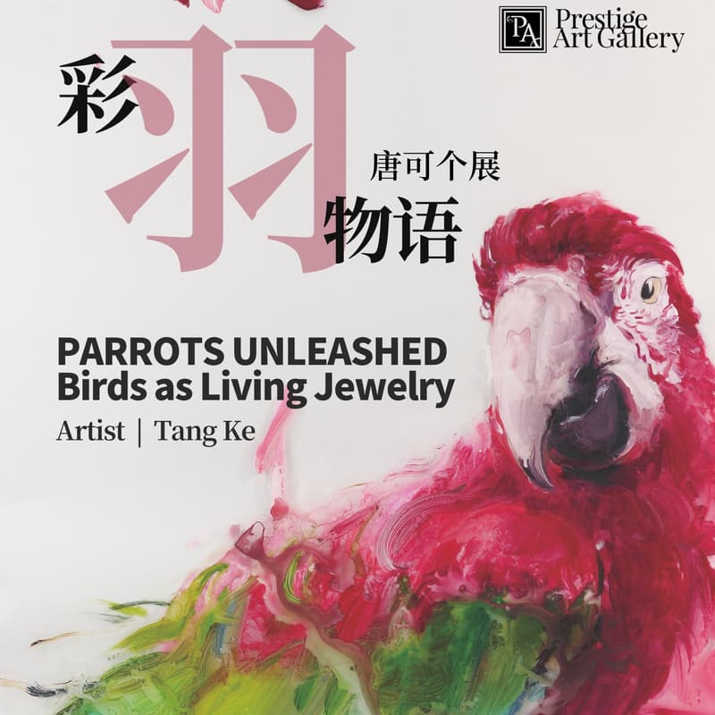 Cover Image for OPENING PARTY 开幕派对｜PARROTS UNLEASHED彩羽物语