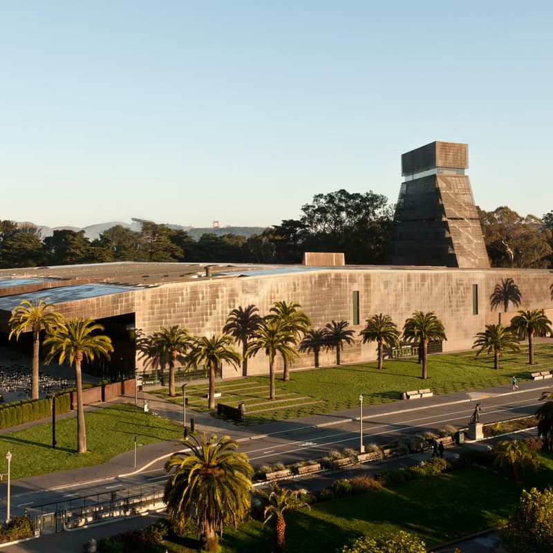 Cover Image for Discover the de Young Museum with Fellow Belgians