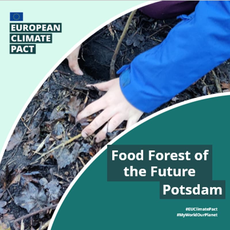 Cover Image for Food Forest of the Future 🌳