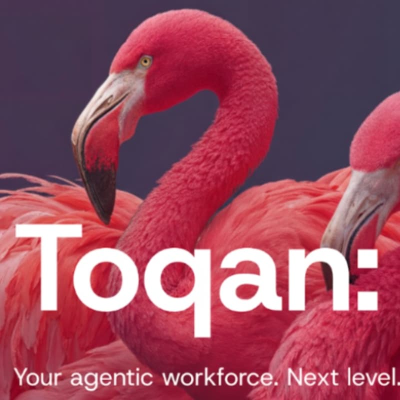 Cover Image for Toqan Hackaton: Join the toqan-evolution @AI House by Prosus