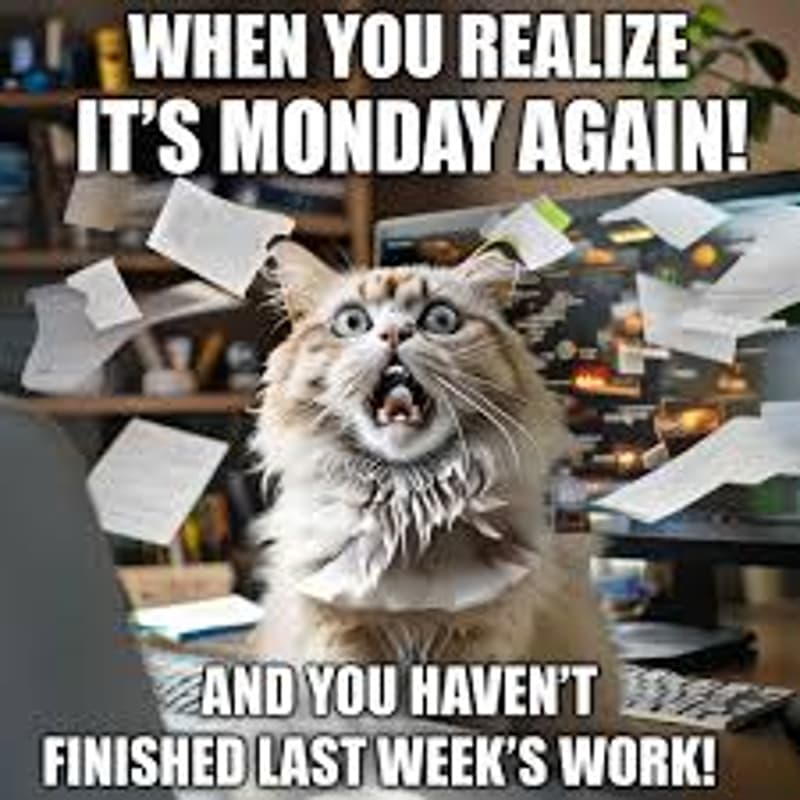 Cover Image for 🗓️ LUNES — ORGANIZARNOS LA VIDA SIN MORIR EN EL INTENTO