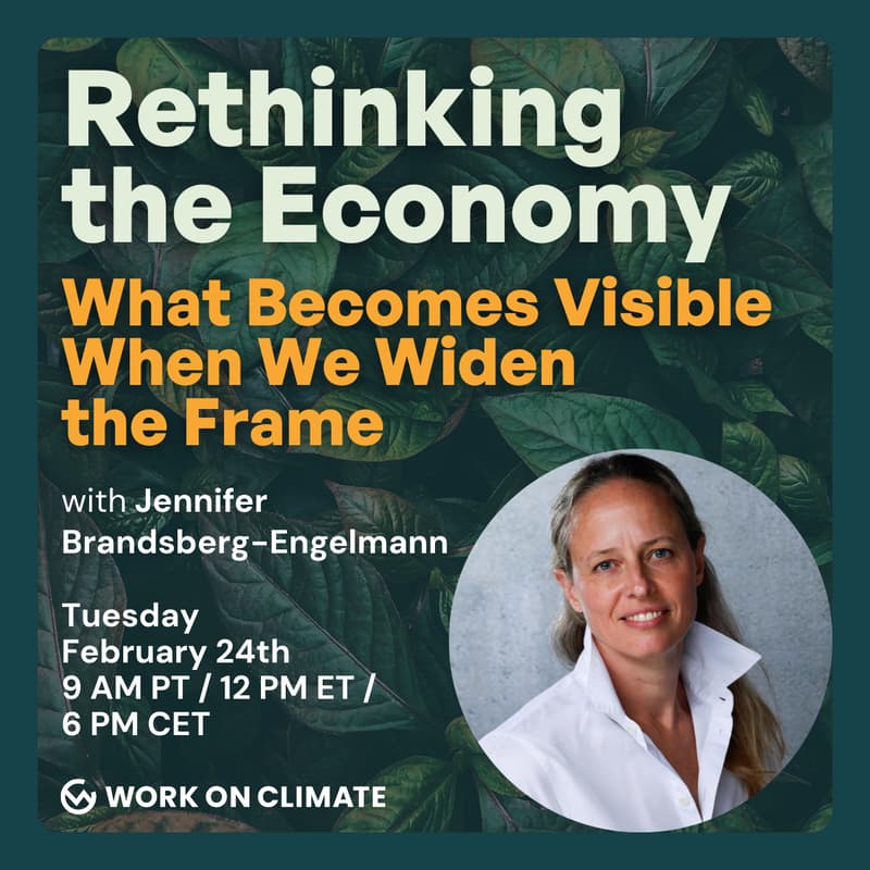 Cover Image for Rethinking the Economy: What Becomes Visible When We Widen the Frame