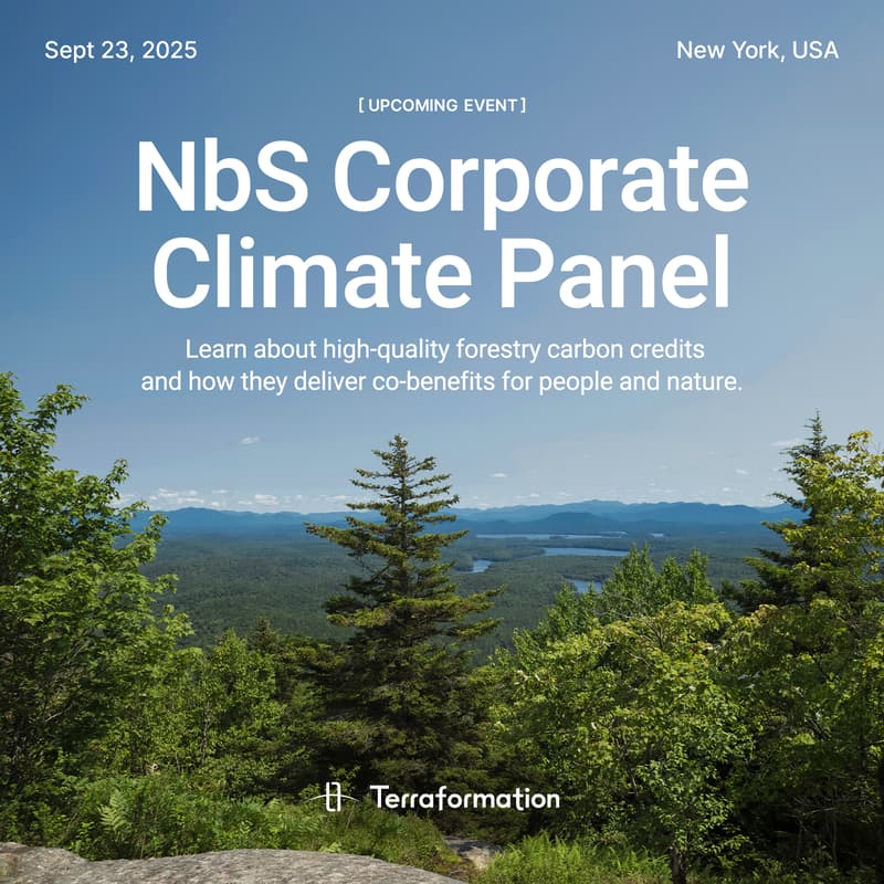 Cover Image for The Role of Nature Based Carbon Credits in Corporate Climate and Nature Strategies
