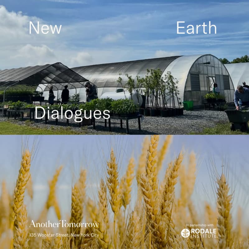 Cover Image for New Earth Dialogues with Jeff Tkach, CEO of Rodale Institute