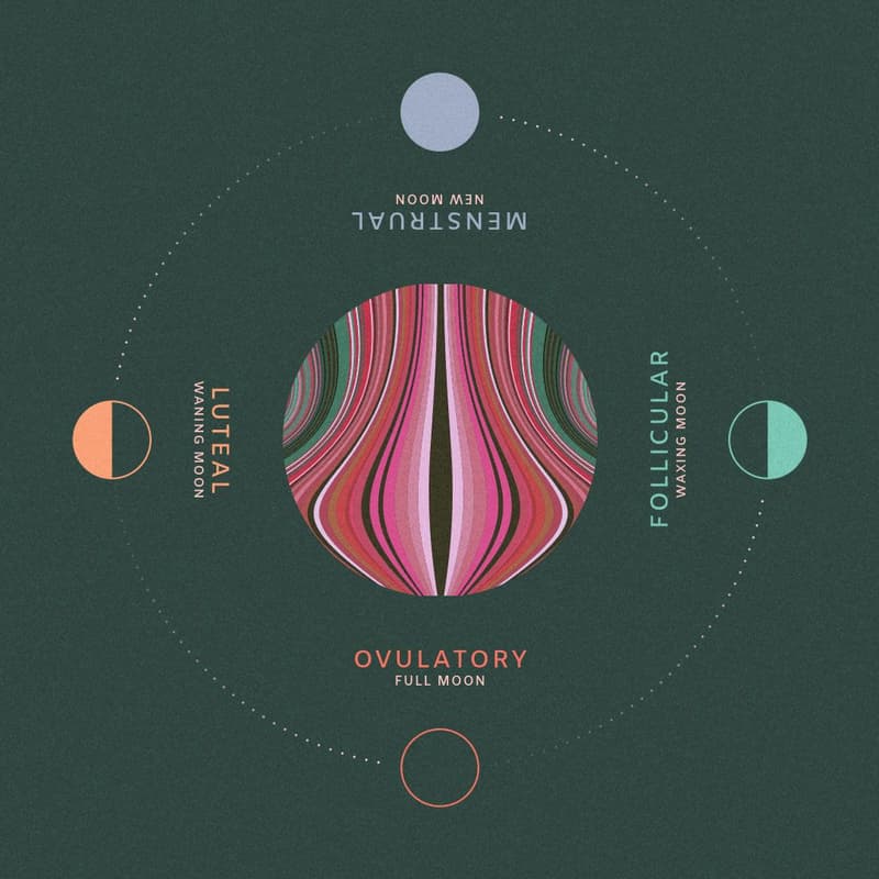 Cover Image for Cycle Wisdom Workshop