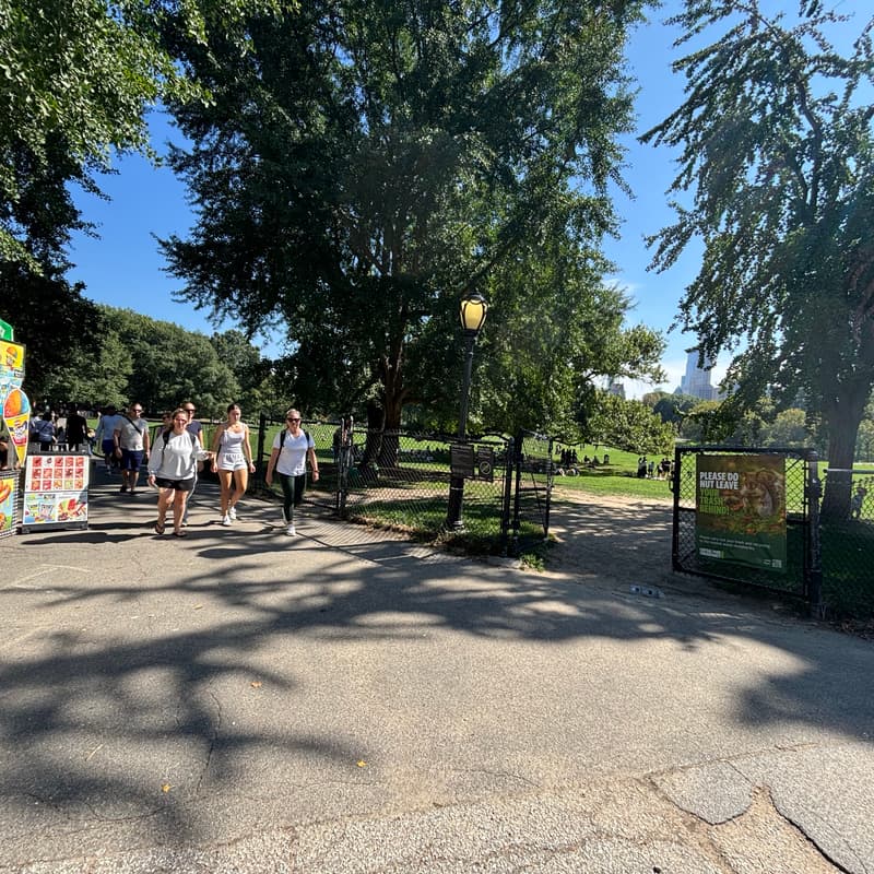 Cover Image for Young Professionals In The Park
