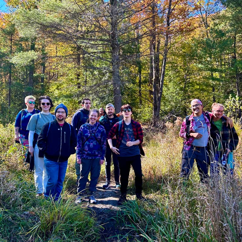 Cover Image for Late Fall Queer Walk In The Woods - Eastern Massachusetts