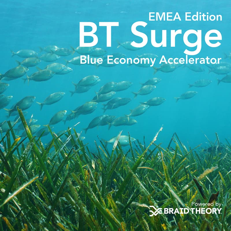 Cover Image for Q&A Session | BT Surge Accelerator