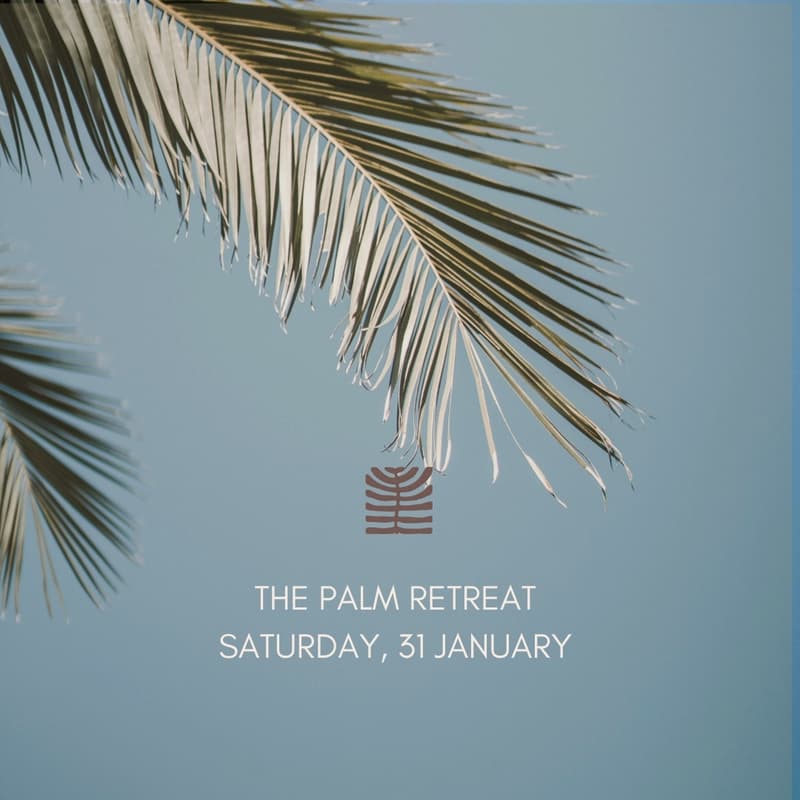 Cover Image for The Palm Retreat