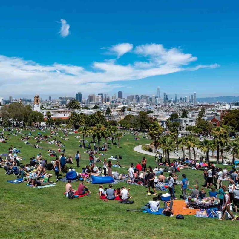 Cover Image for Dolores Picnic & Mission Hang