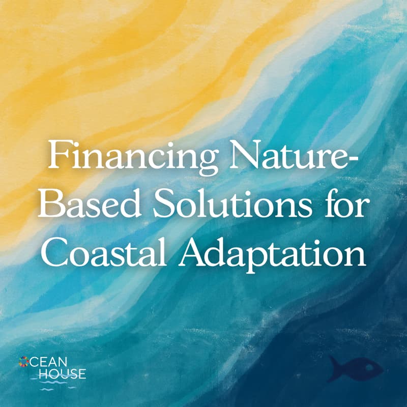 Cover Image for Financing Nature-Based Solutions for Coastal Adaptation
