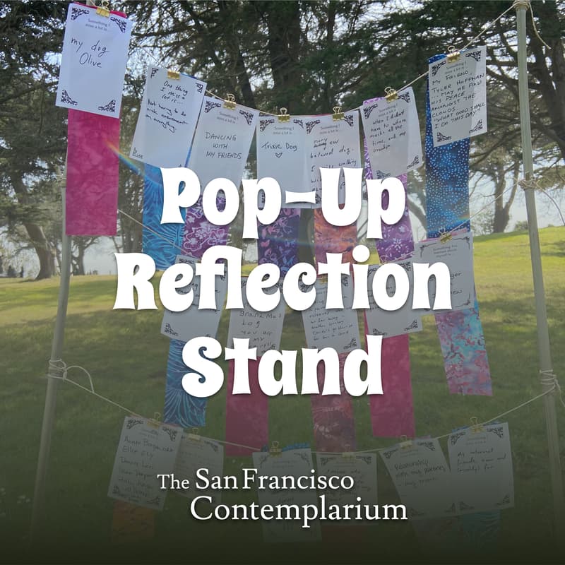 Cover Image for Reflection Stand Pop-Up (Duboce Park)