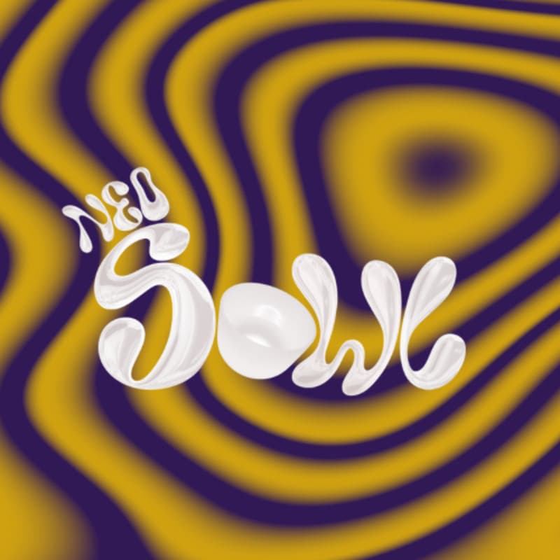 Cover Image for Neo-Sowl Experience