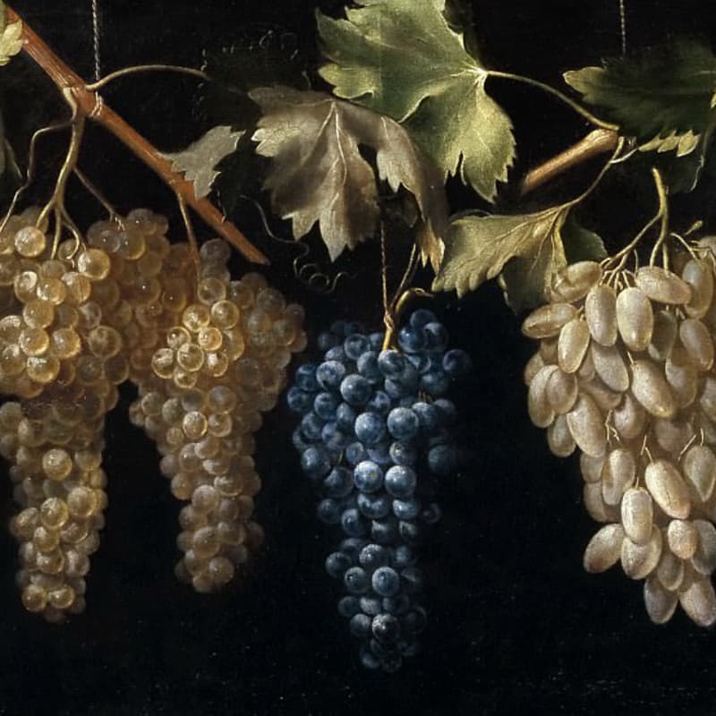 Cover Image for Дегустация сербских натуральных вин