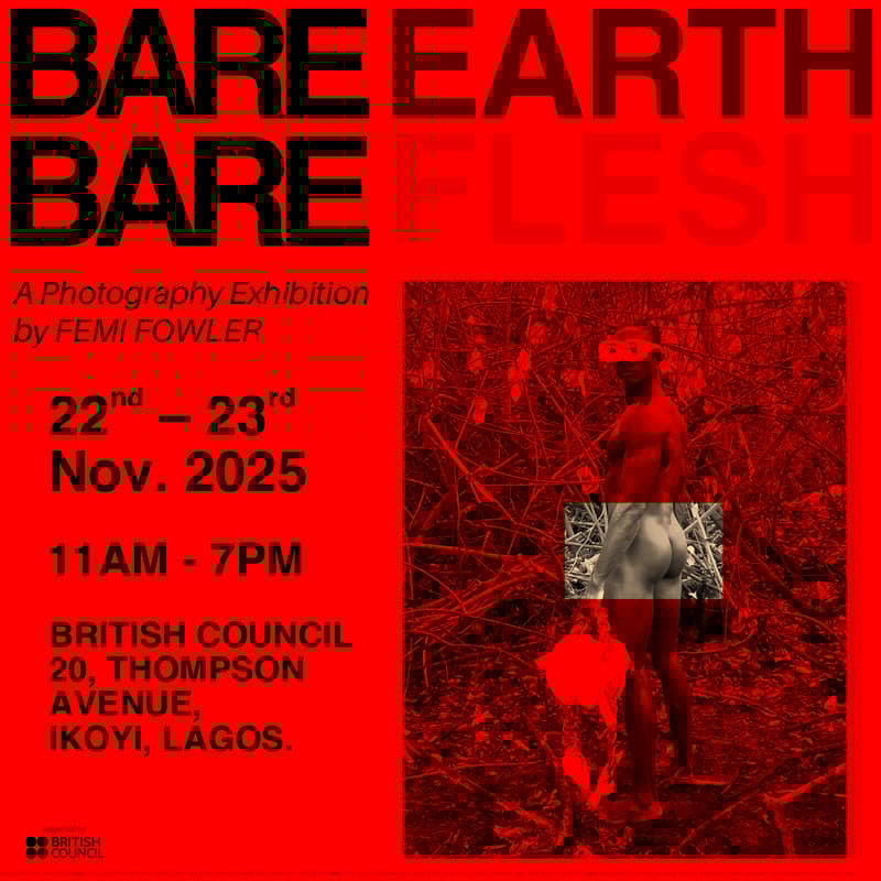 Cover Image for Bare Earth Bare Flesh