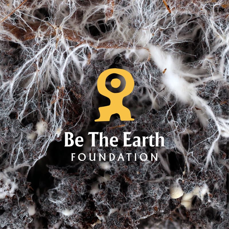 Cover Image for From Waste to Living Soil | A Composting Workshop with Maslow