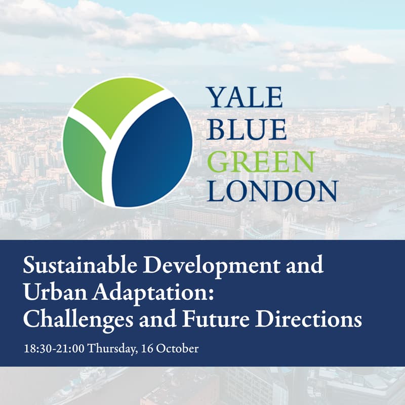 Cover Image for Sustainable Development and  Urban Adaptation:  Challenges and Future Directions