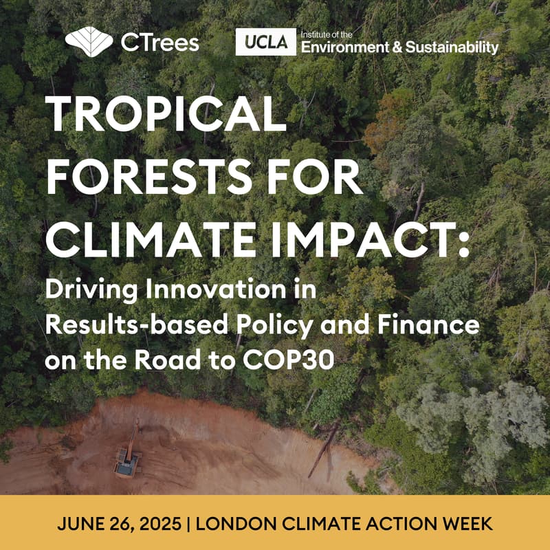 Cover Image for Tropical Forests for Climate Impact: Driving Innovation in Results-based Policy and Finance on the Road to COP30