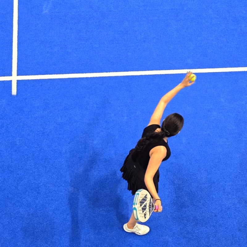 Cover Image for Ilgaamžiškumo paskaita ir padelio treniruotė Kaune