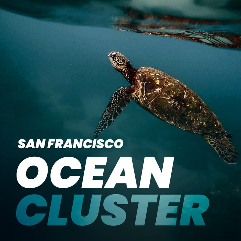 Cover Image for 🌐 Meetup - Oceans Cluster