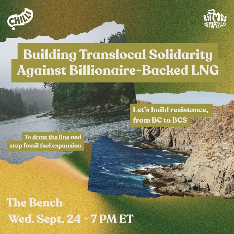 Cover Image for Building Translocal Solidarity Against Billionaire Backed LNG