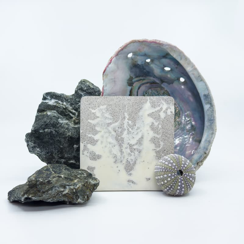 Cover Image for Regenerative Materials for the Built Environment, hosted by MARBLIS