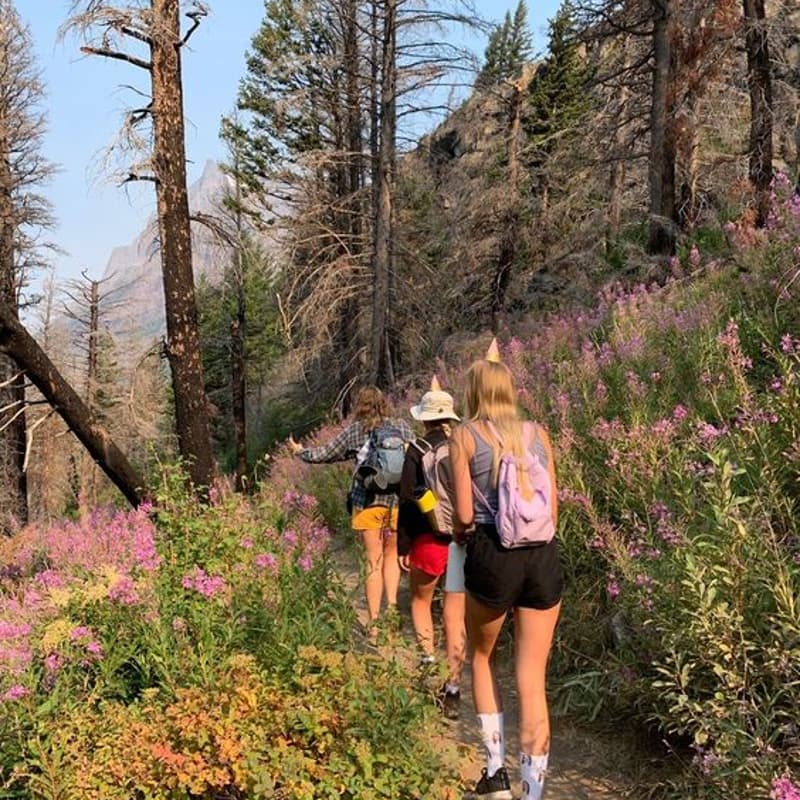Cover Image for Morning Hike 🌿