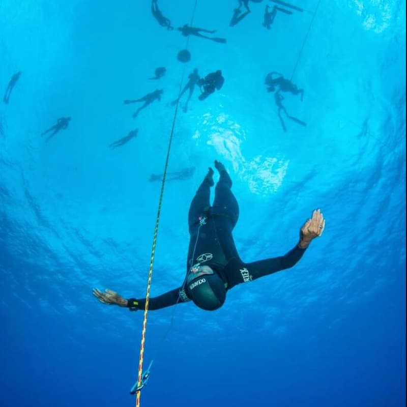 Cover Image for Fealth Consumer Longevity @JPM - Artisan Chocolate Roaster