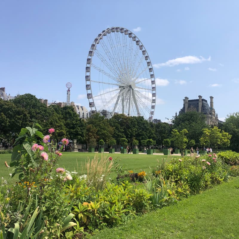 Cover Image for Drawing The Tuileries, Paris