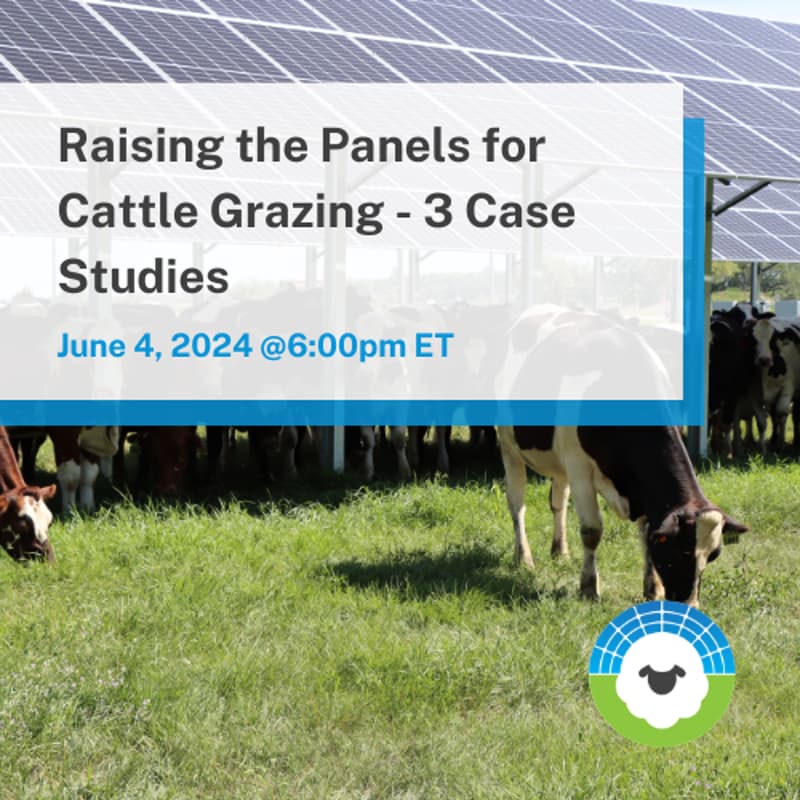 Cover Image for ASGA Call 78: Raising the Panels for Cattle Grazing