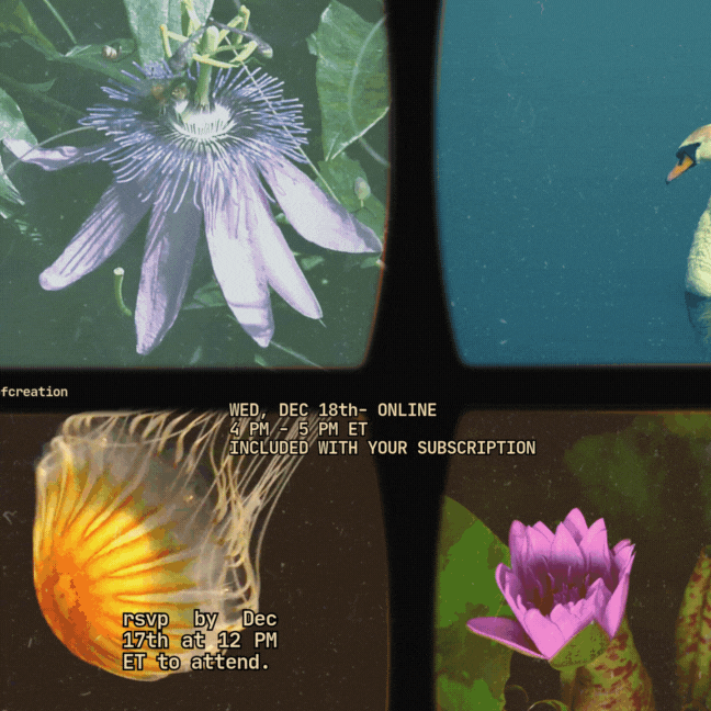 Cover Image for Mini Readings for Substack Subscribers