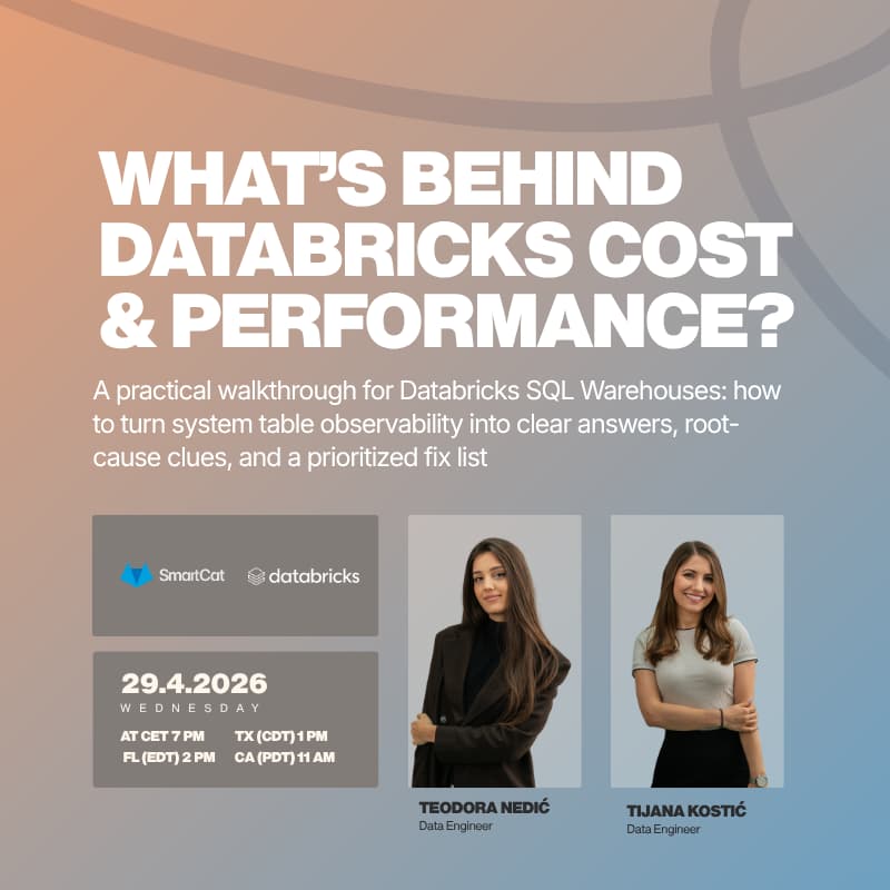 Cover Image for What's Behind Databricks Cost & Performance