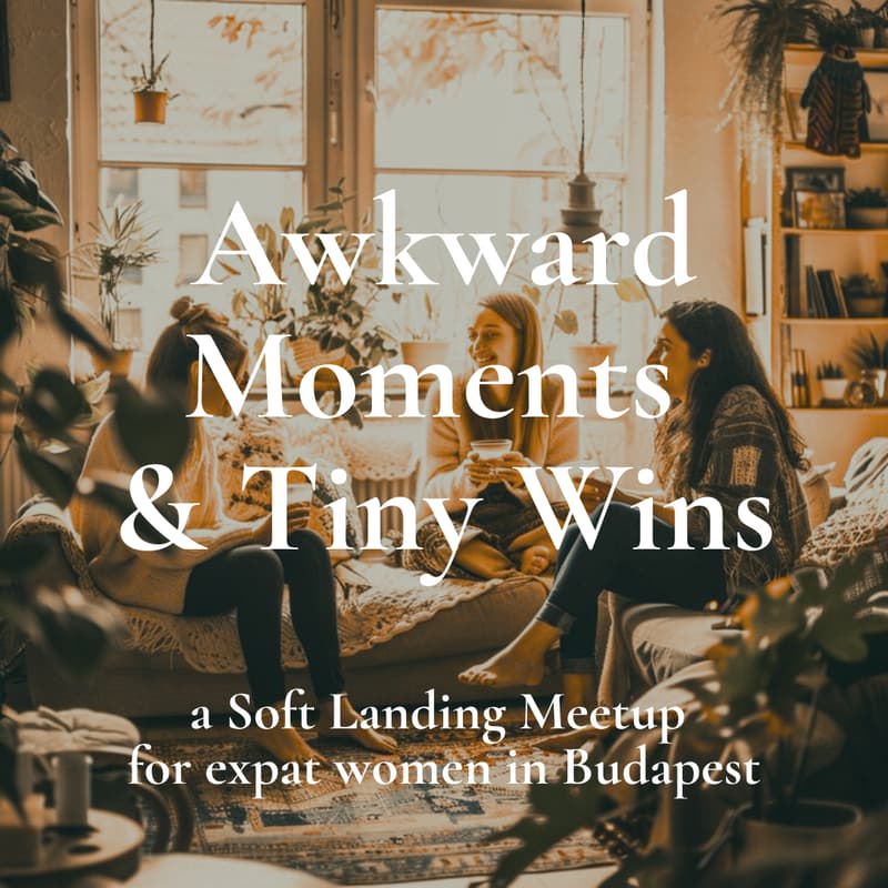 Cover Image for Soft Landing Meetup - Awkward Moments & Tiny Wins
