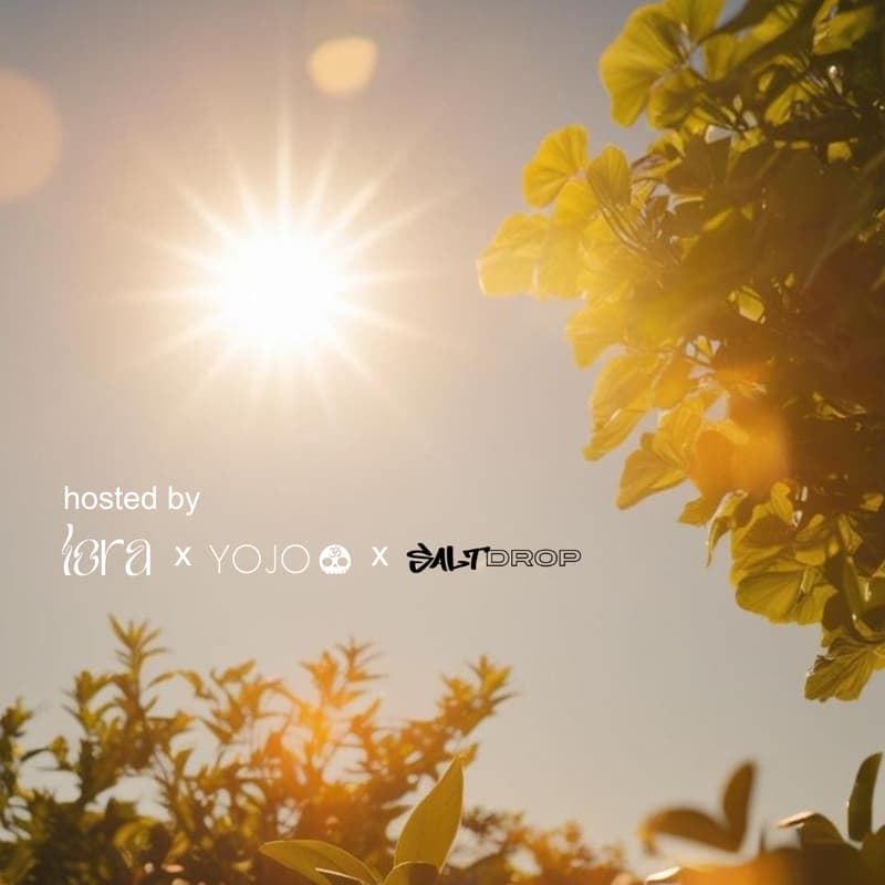 Cover Image for Spring Equinox Guided Breathwork 🌸