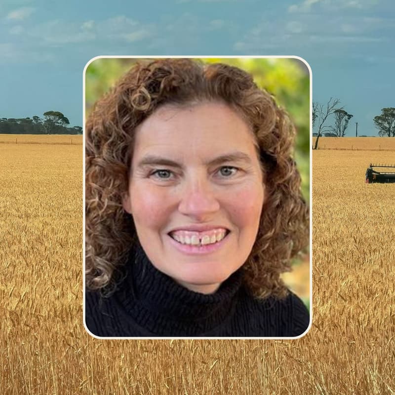 Cover Image for CFS Guest Speaker Series: Dr. Kim Harley on Environmental Exposures in Farmworker Communities
