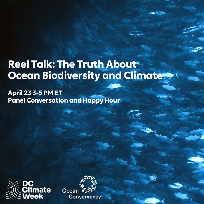 Cover Image for Reel Talk: The Truth About Ocean Biodiversity and Climate