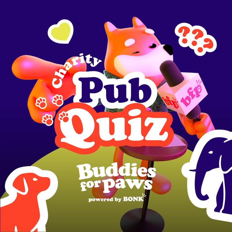 Cover Image for Charity Pub Quiz Night