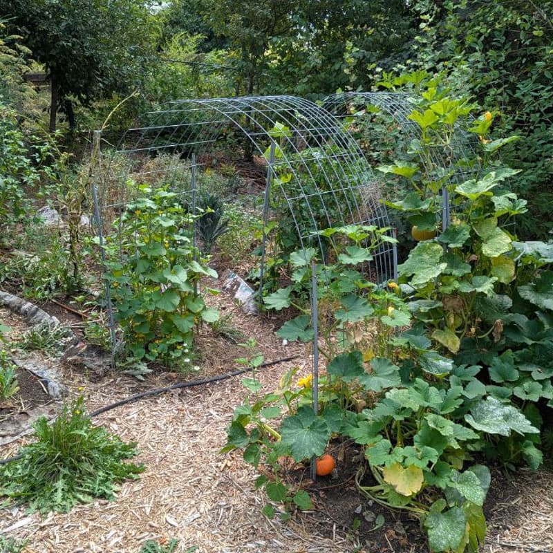 Cover Image for Putting Your Garden to Bed (Rewilding Series)