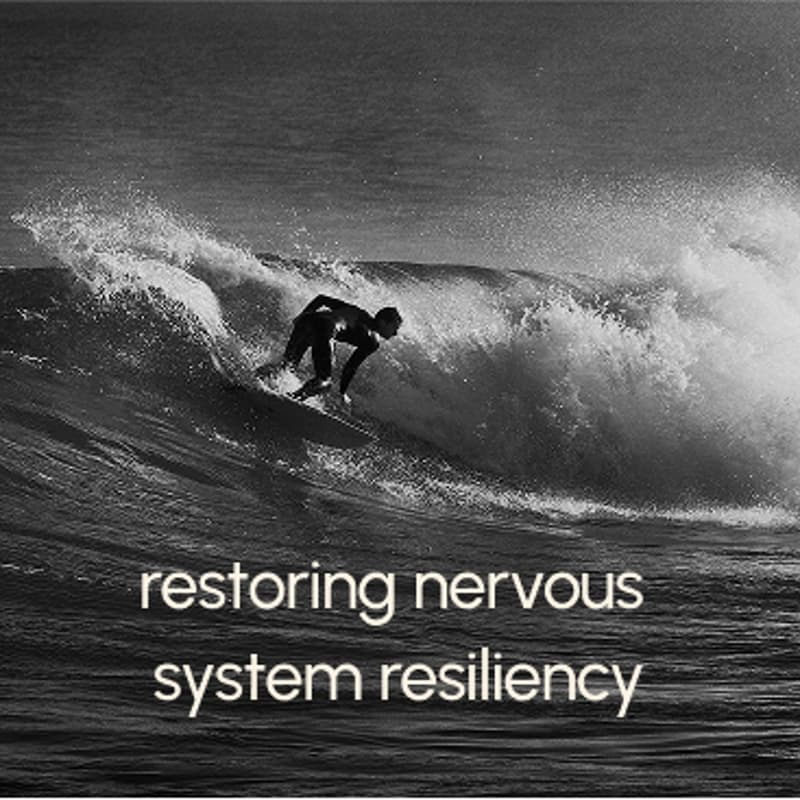 Cover Image for restoring nervous system resiliency