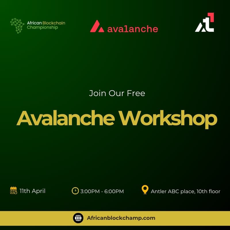 Cover Image for Avalanche workshop