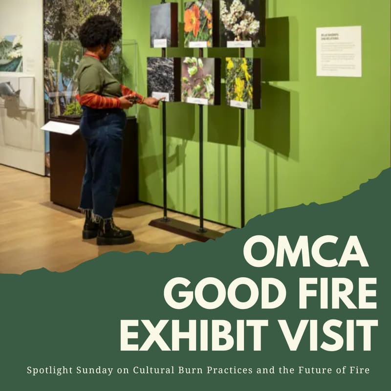 Cover Image for OMCA Good Fire Exhibit Visit