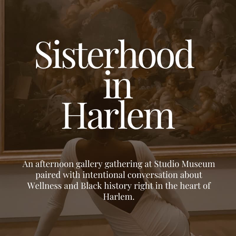 Cover Image for Sisterhood In Harlem